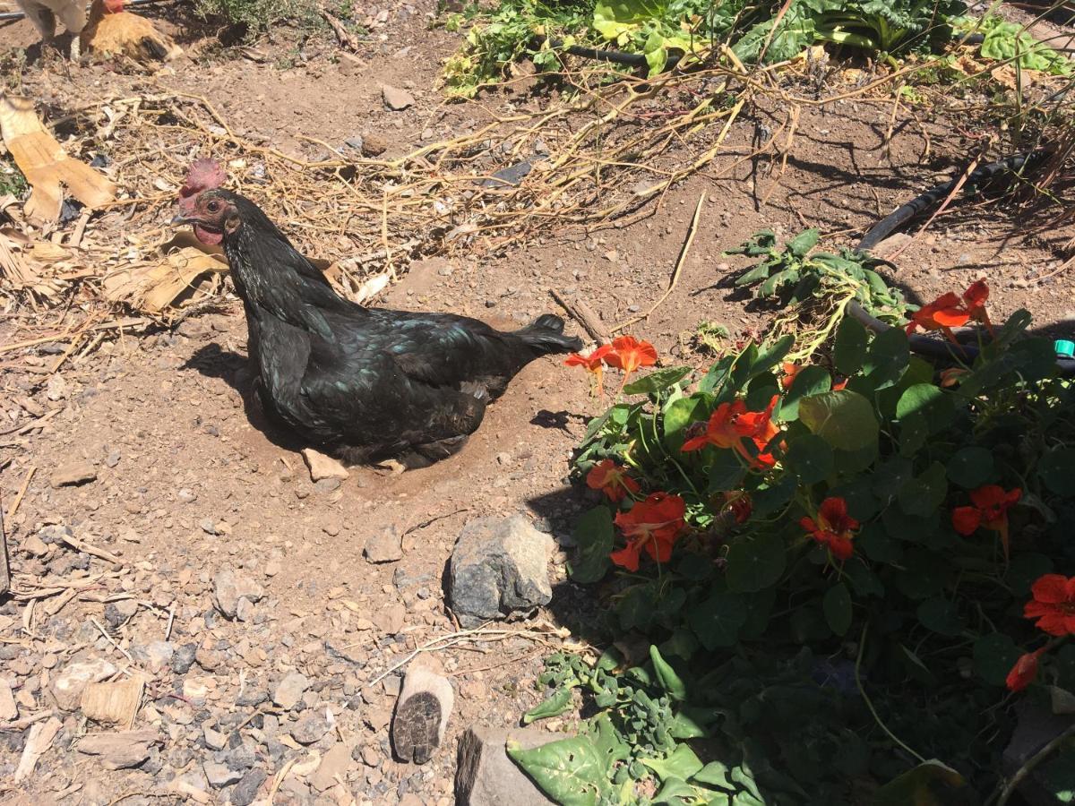 شقة Casa Madre Tierra لا باريد المظهر الخارجي الصورة