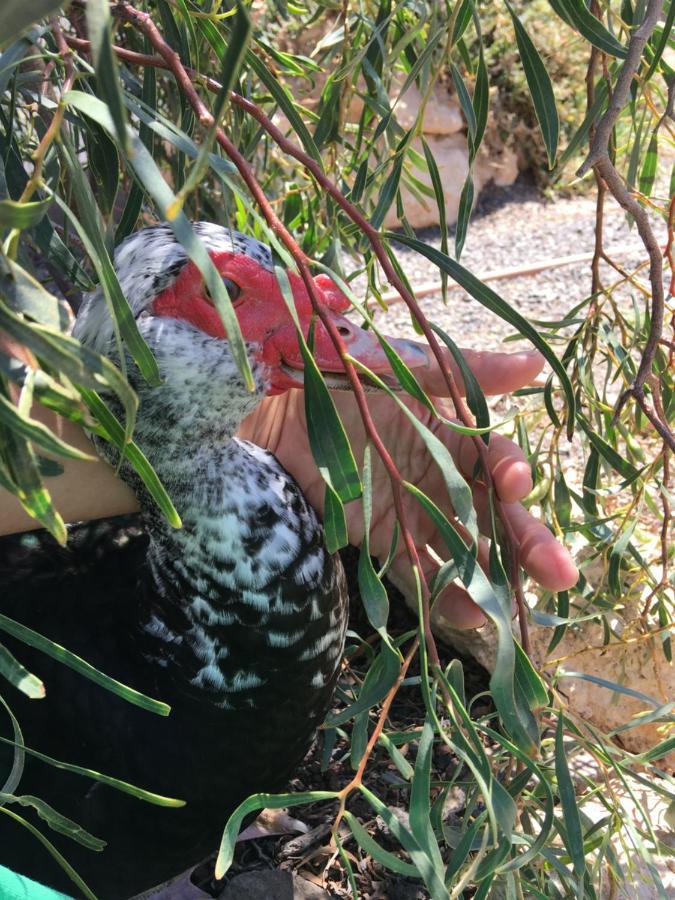 شقة Casa Madre Tierra لا باريد المظهر الخارجي الصورة